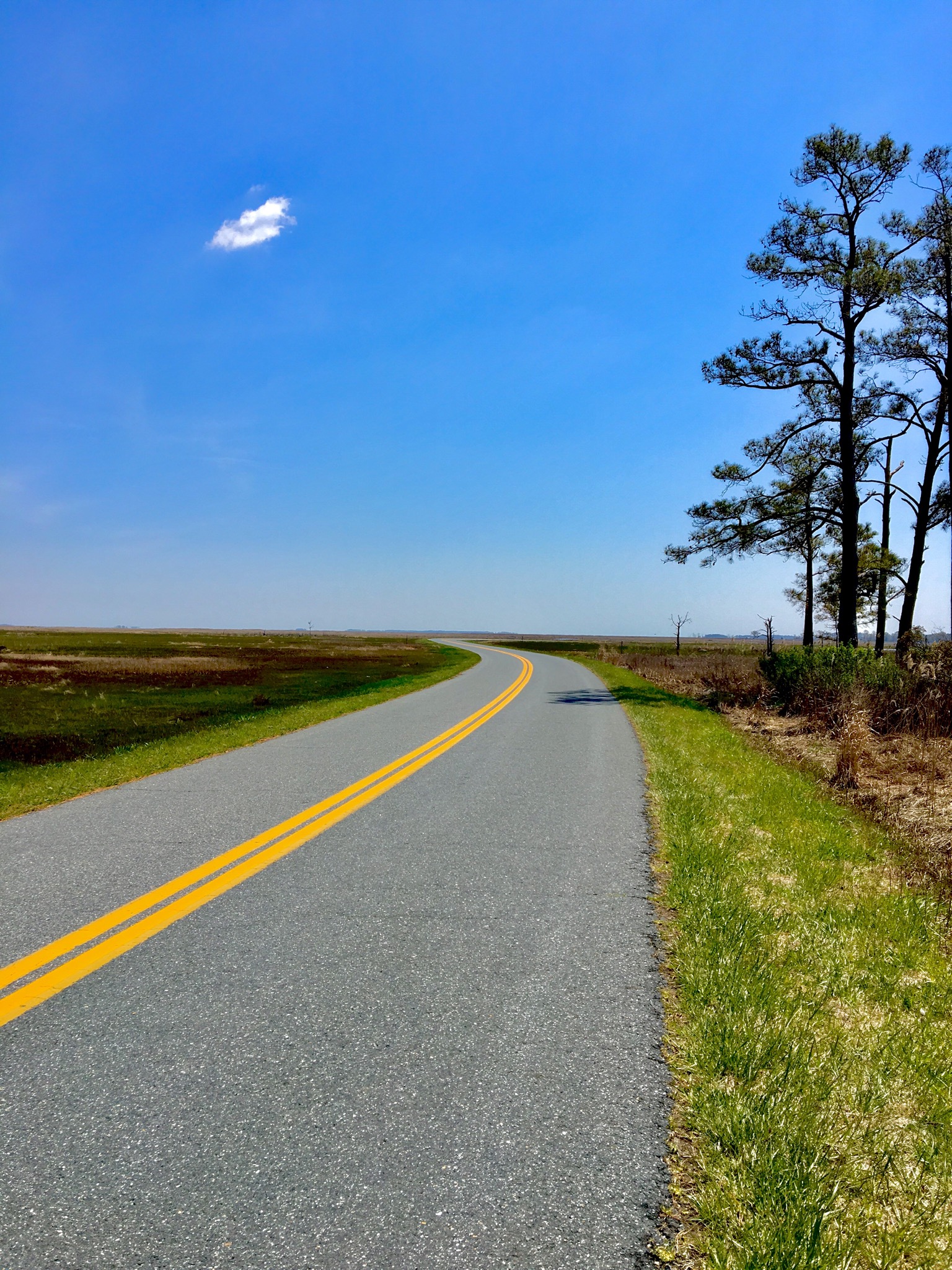 Bike the Blackwater National Wildlife Refuge
