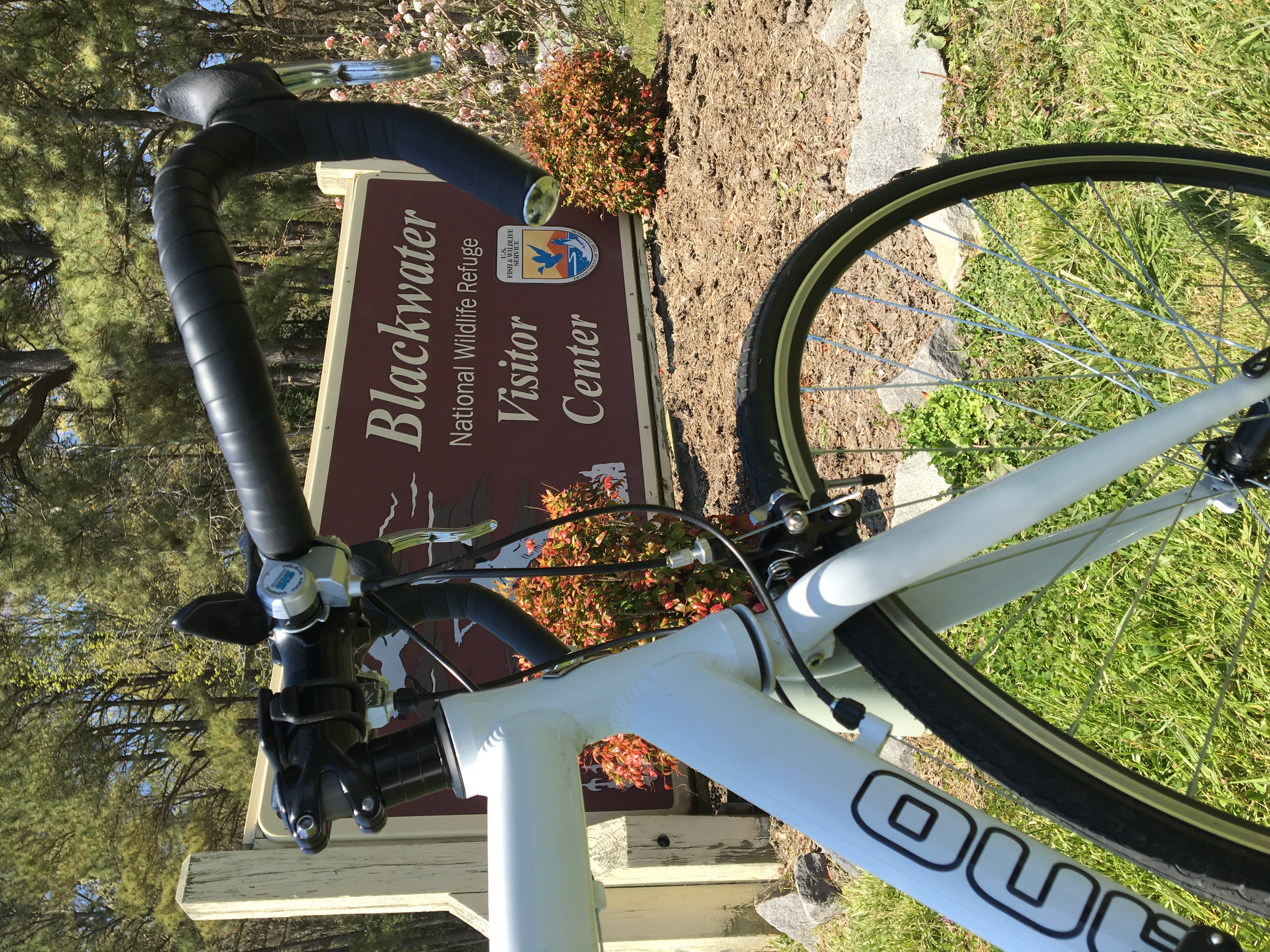 BLACKWATER NATIONAL WILDLIFE REFUGE BIKE TRAIL intelligence overview