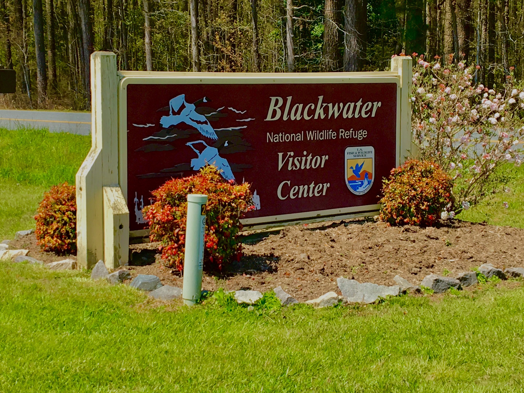Bike the Blackwater National Wildlife Refuge