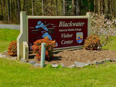 Bike the Blackwater National Wildlife Refuge