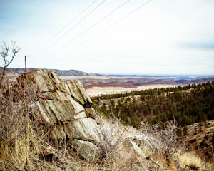 Hike the Powerline Trail in the Bobcat Ridge Natural Area