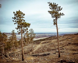 Hike the D.R. Trail in the Bobcat Ridge Natural Area