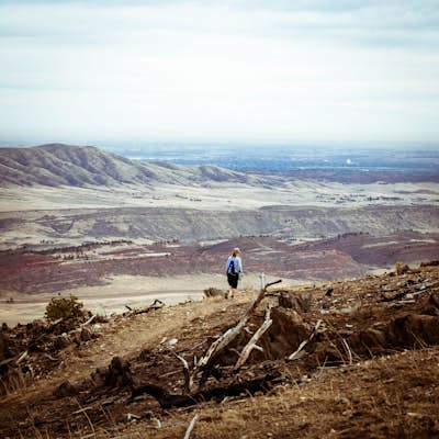 Hike the D.R. Trail in the Bobcat Ridge Natural Area
