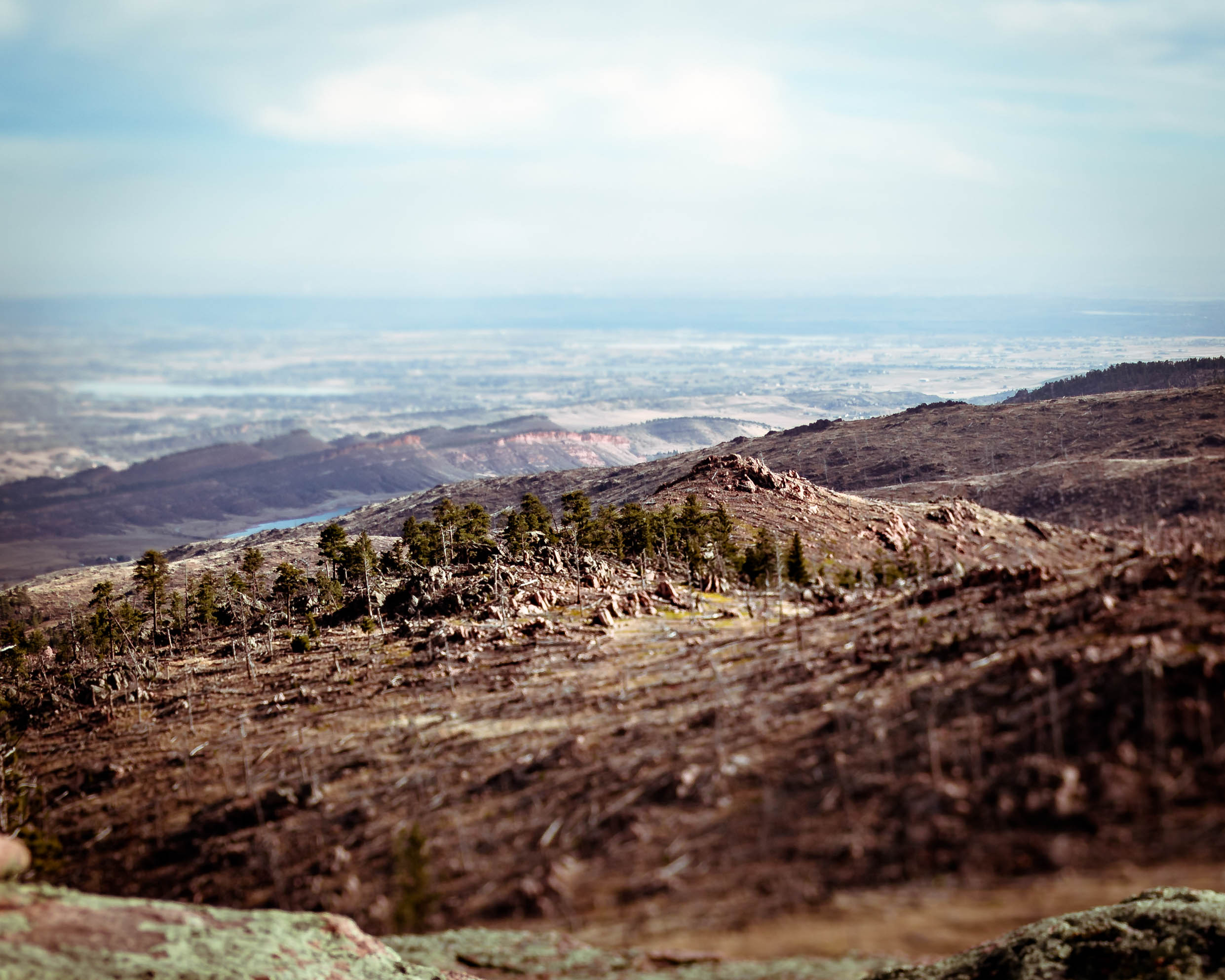 Climb Green Ridge in the Roosevelt National Forest
