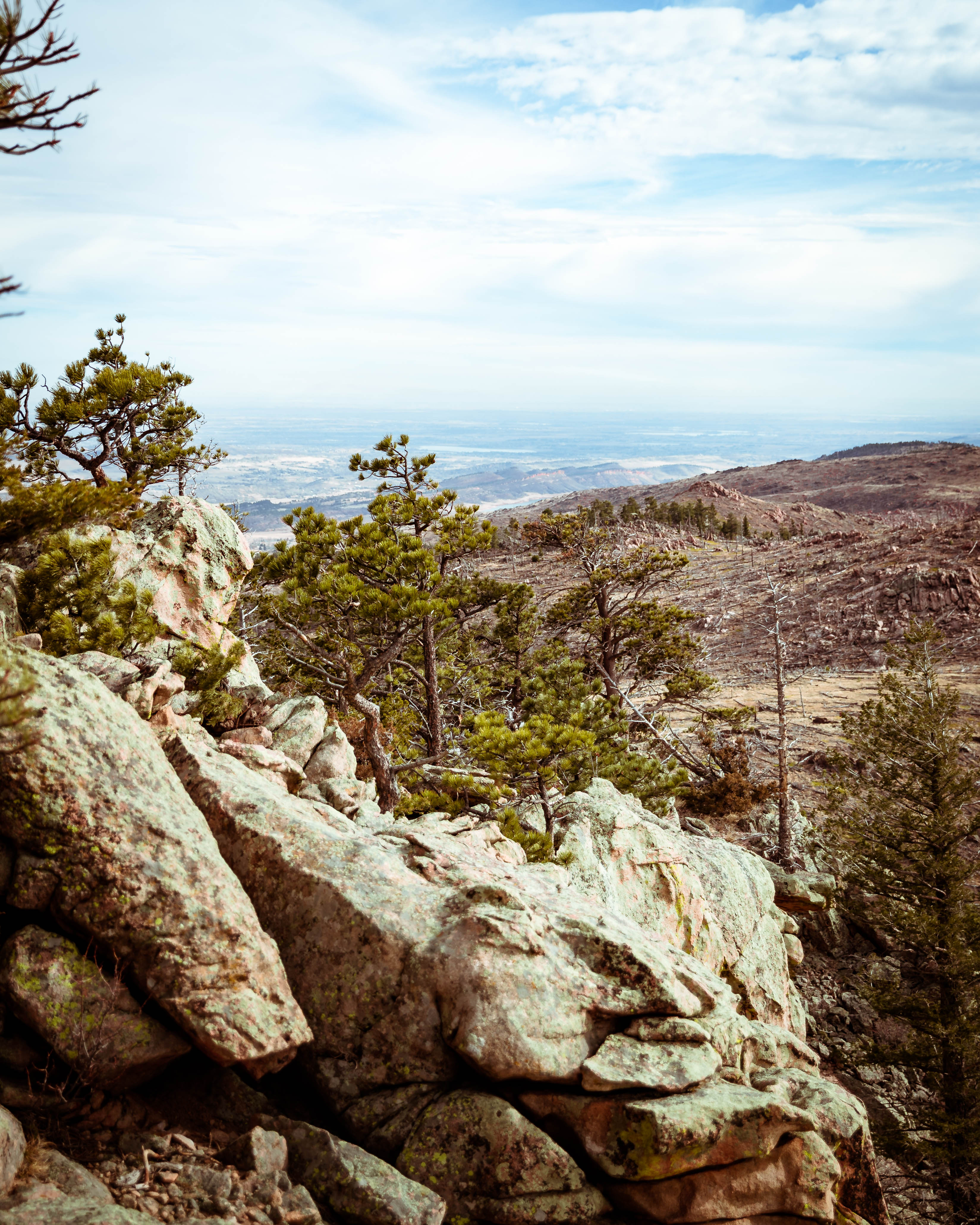 Climb Green Ridge in the Roosevelt National Forest