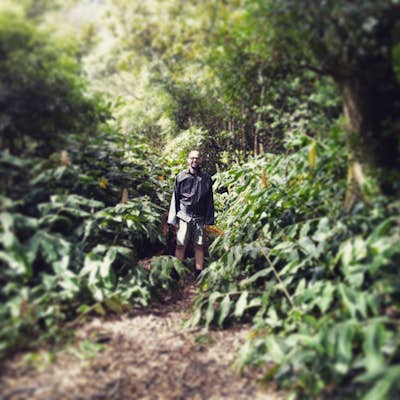A Hike in Pico Island