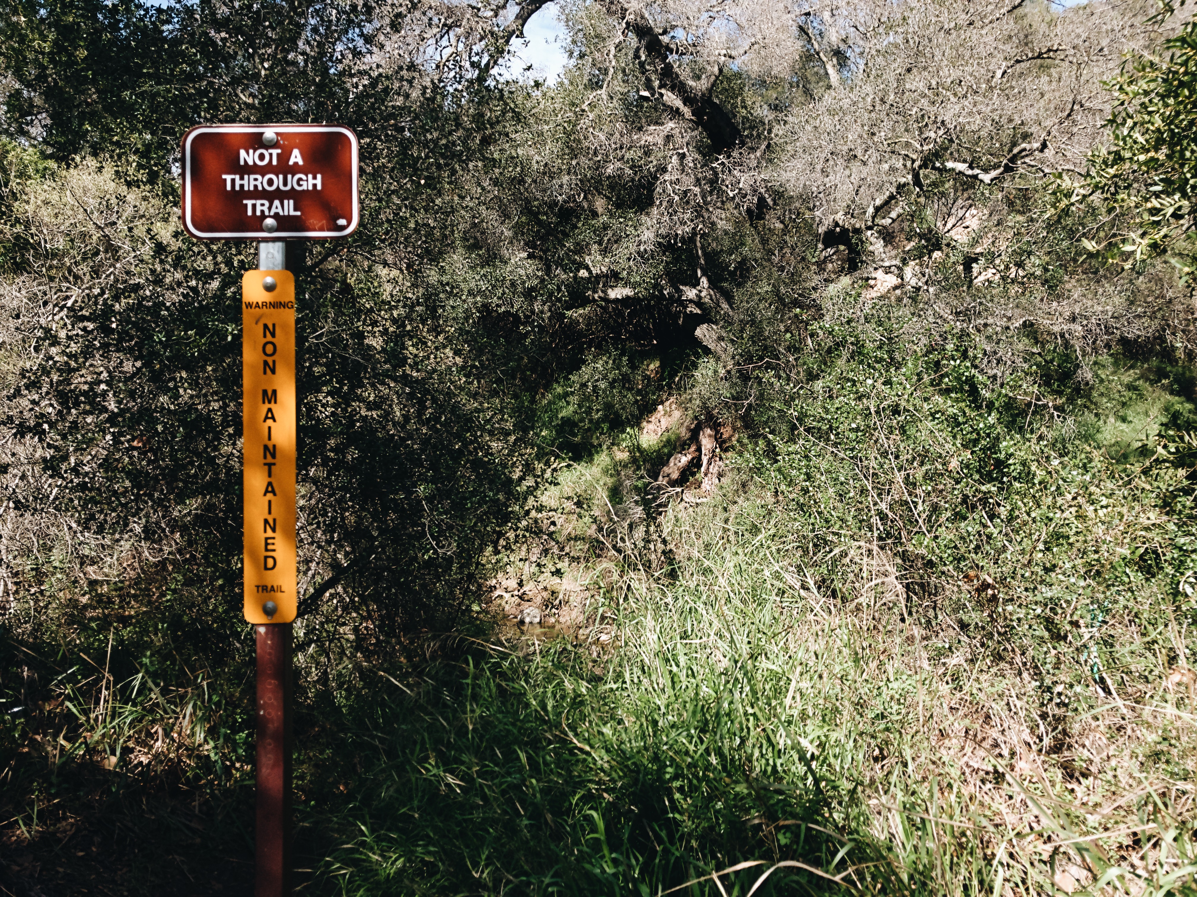 Santa Ynez Falls