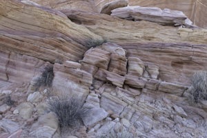 Hike to Pink Canyon in Valley of Fire State Park