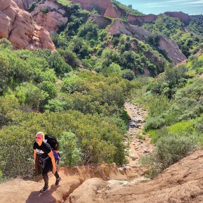 Hike Borrego Canyon to Red Rock Canyon Trails