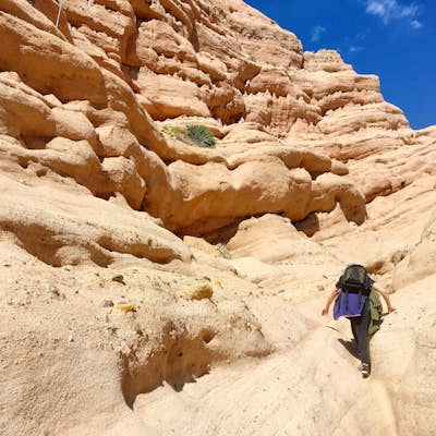 Hike Borrego Canyon to Red Rock Canyon Trails