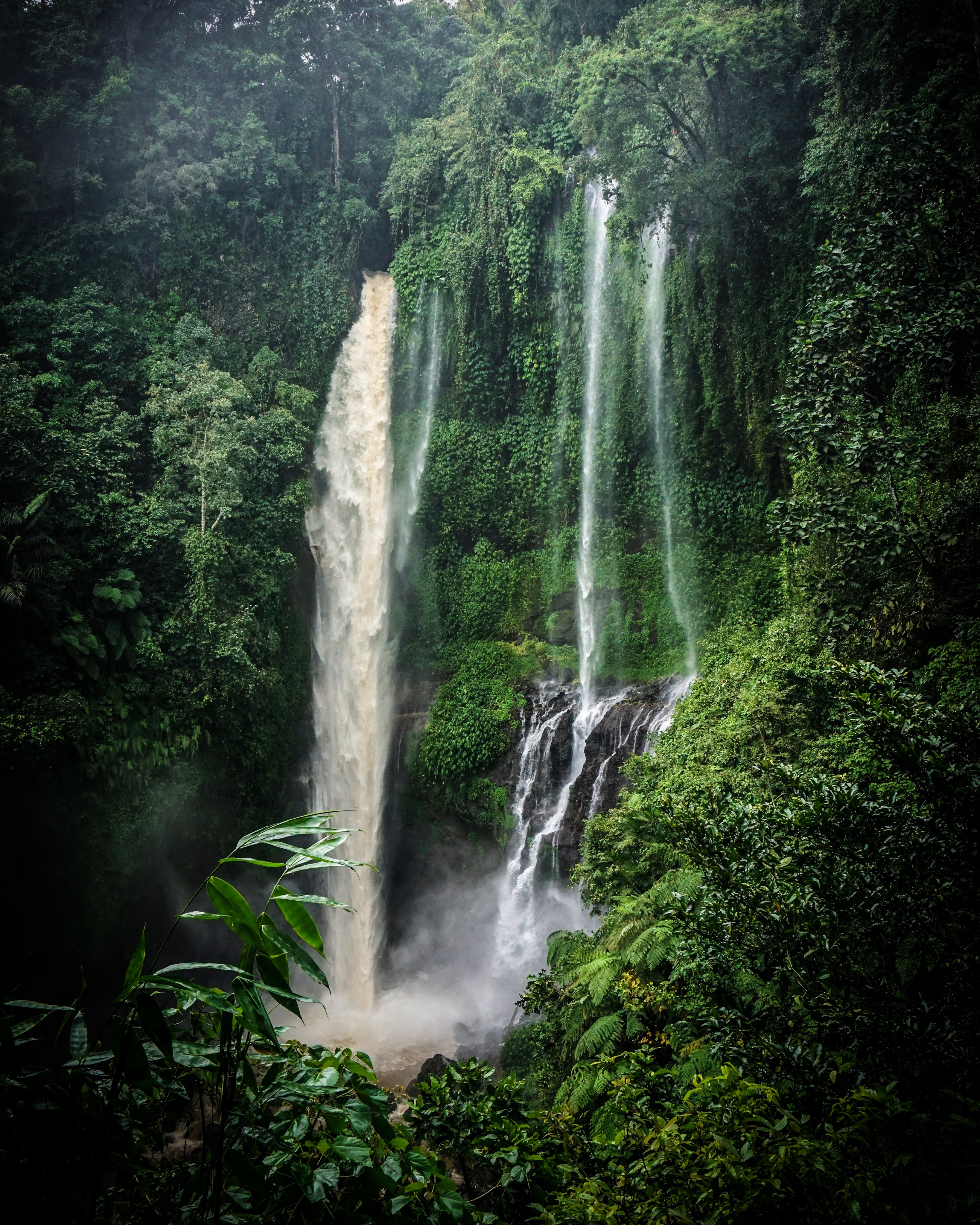 Hike to Sekumpul Waterfalls 
