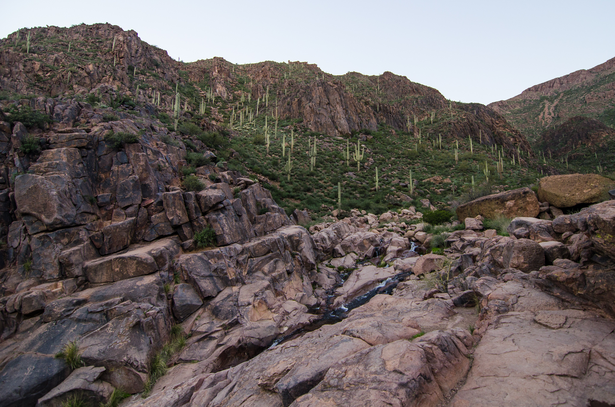 Hieroglyphic Trail