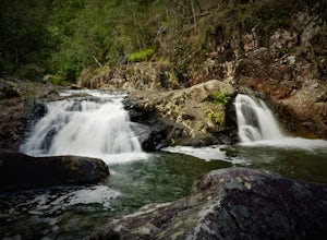 Hike the Finch Hatton Gorge