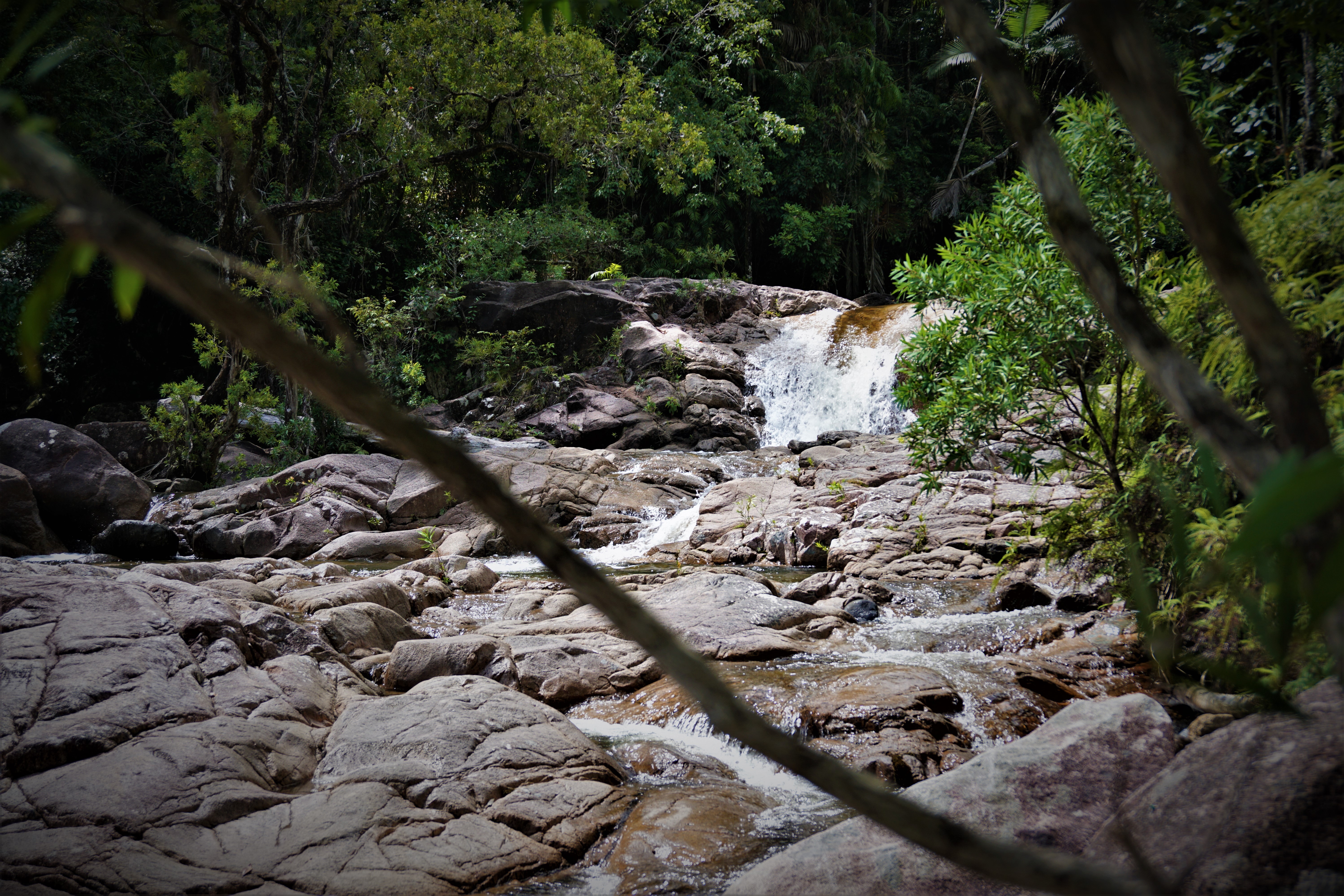 Hike the Finch Hatton Gorge
