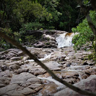 Hike the Finch Hatton Gorge