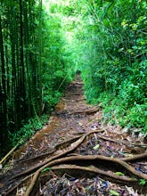 Aihualama Trail 