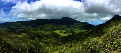 Hike the Aihualama Trail , Manoa Falls Trail