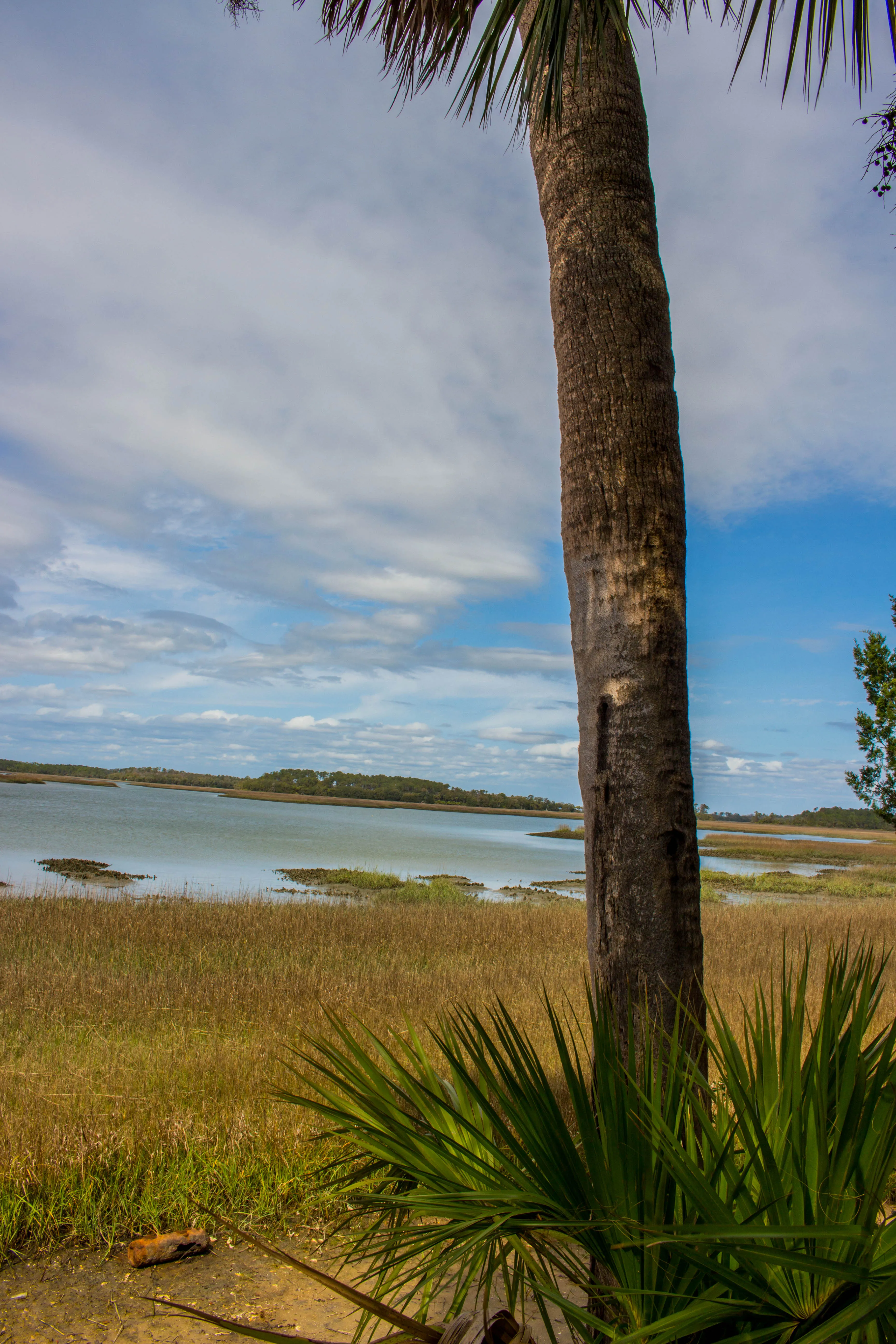 Walk the Nature Trail at the Pinckney Island Wildlife Refuge