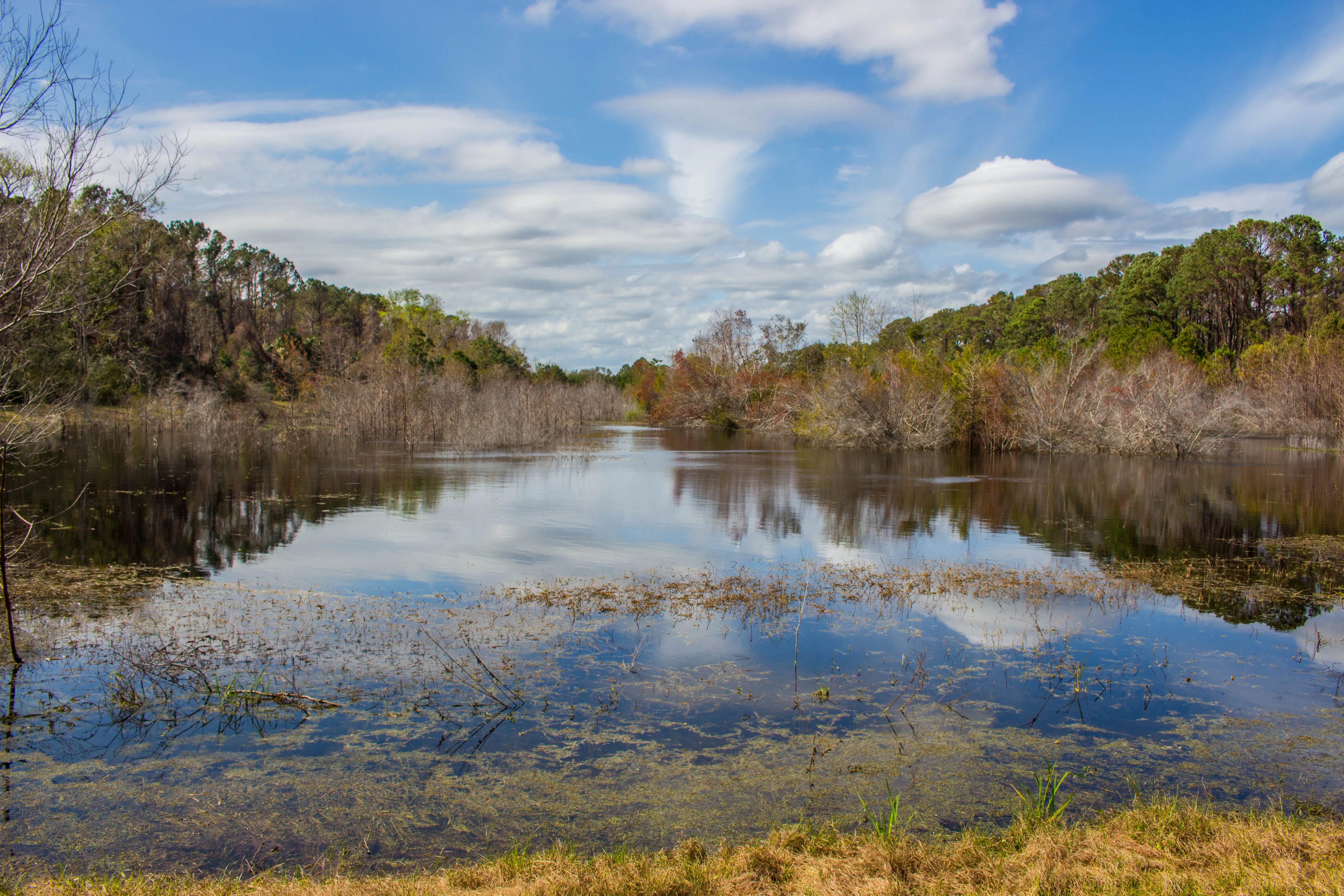 Walk the Nature Trail at the Pinckney Island Wildlife Refuge