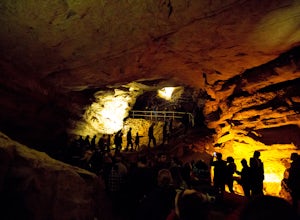 A Guide to Exploring Mammoth Cave National Park