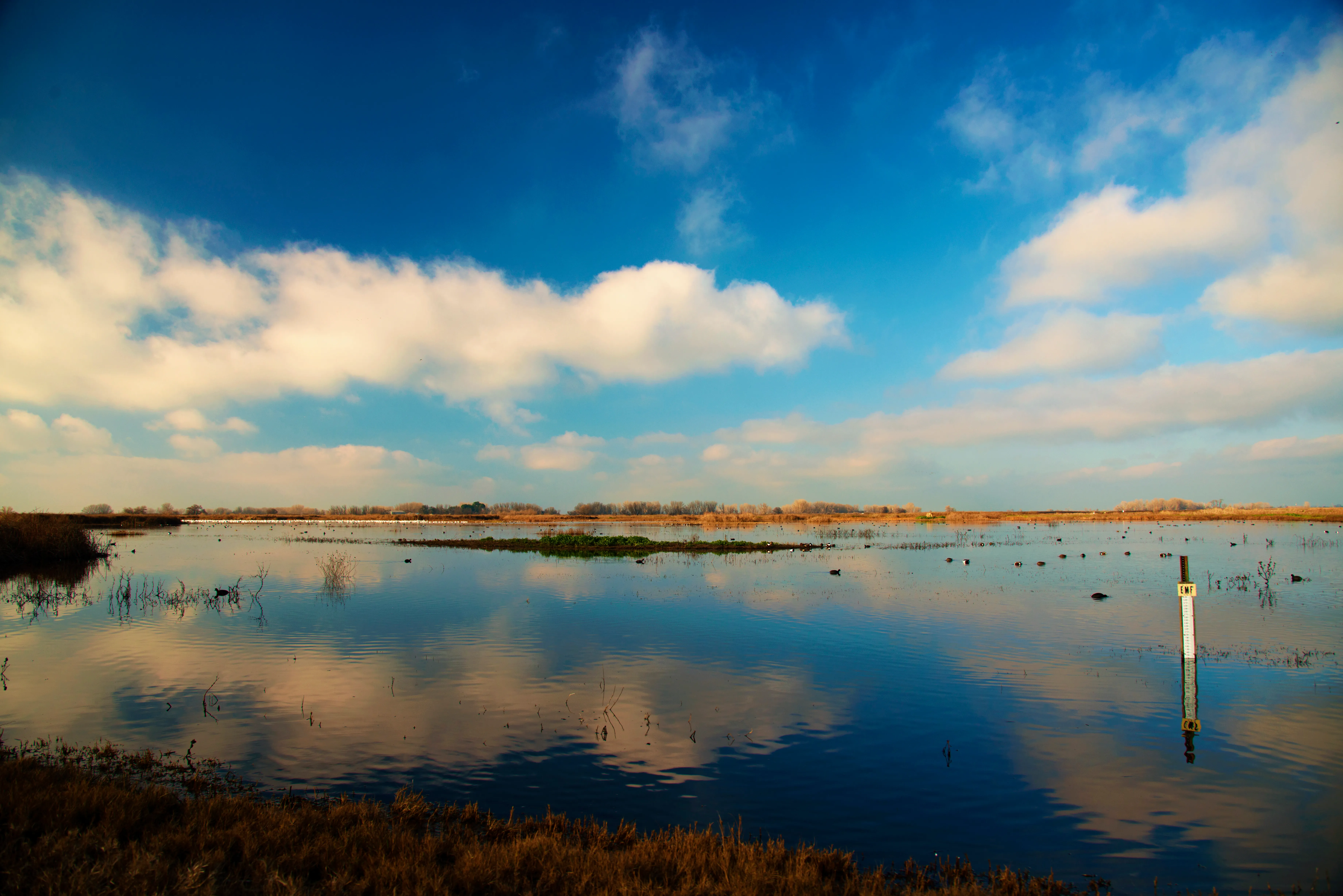 Photograph the Merced National Wildlife Refuge