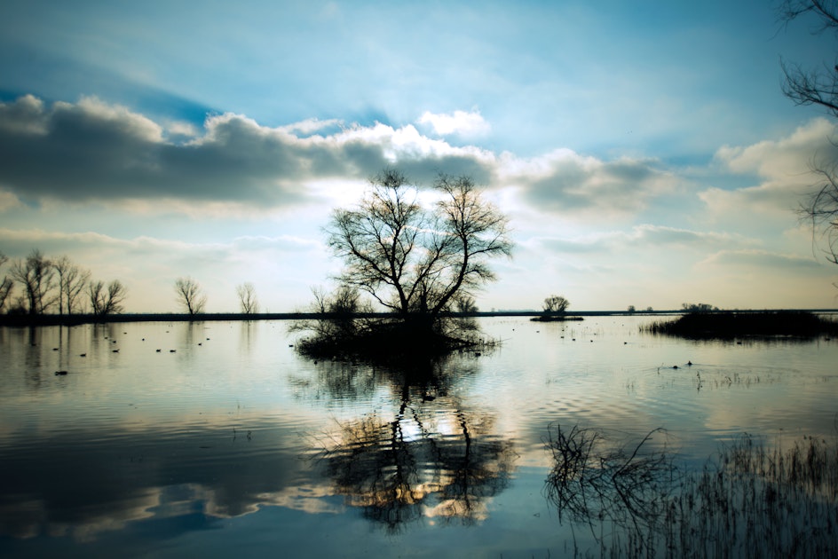 Photograph the Merced National Wildlife Refuge, Auto Tour Loop Route