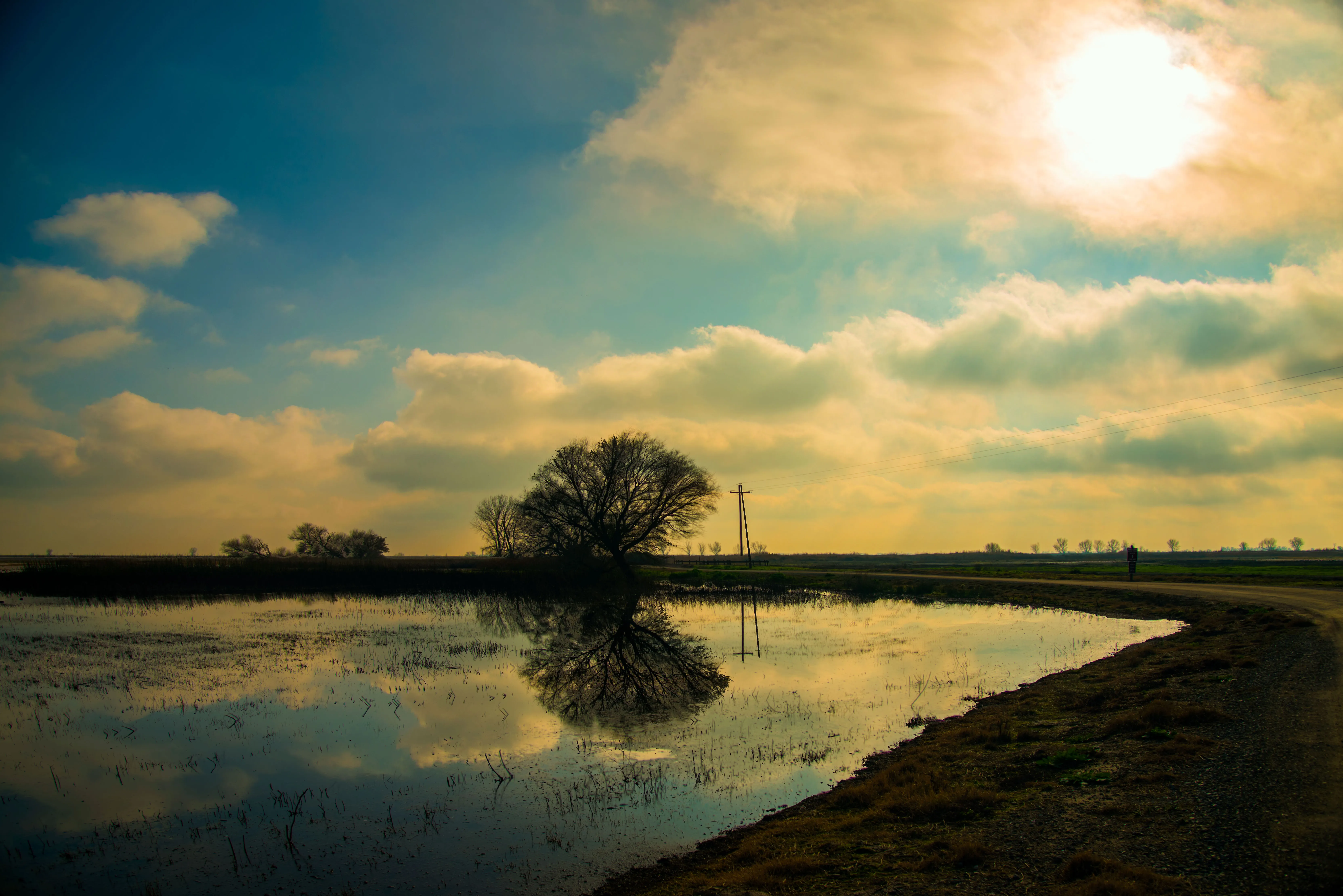 Photograph the Merced National Wildlife Refuge