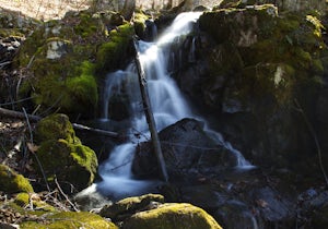 Hike to Naked Creek Falls