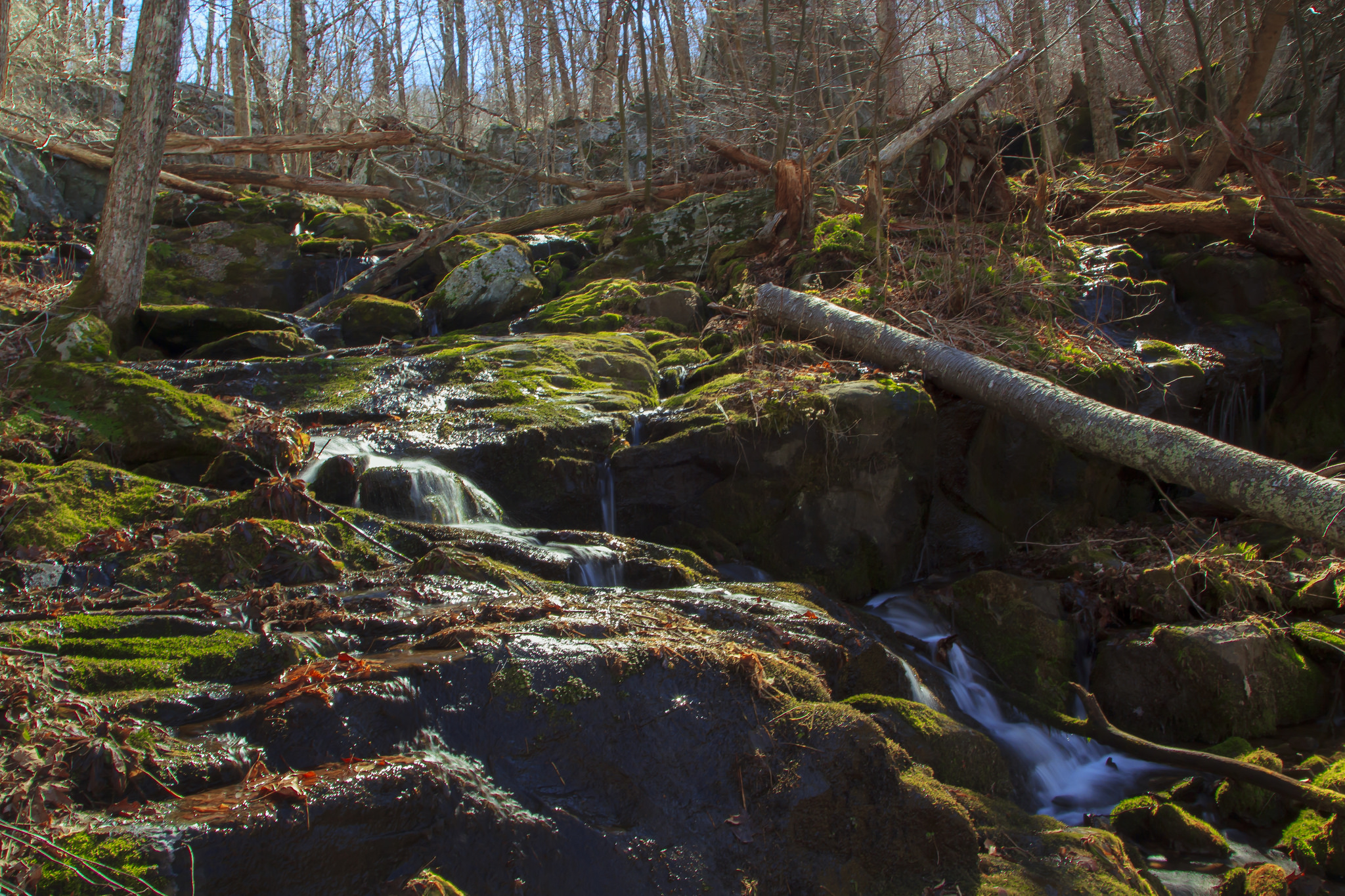 Hike to Naked Creek Falls