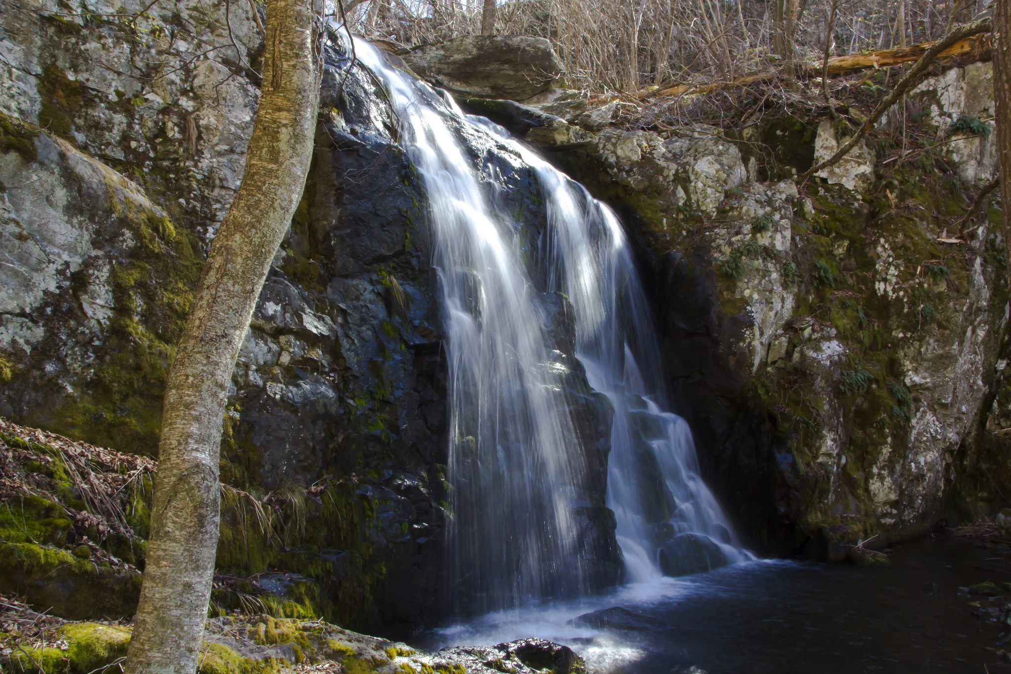 Hike to Naked Creek Falls