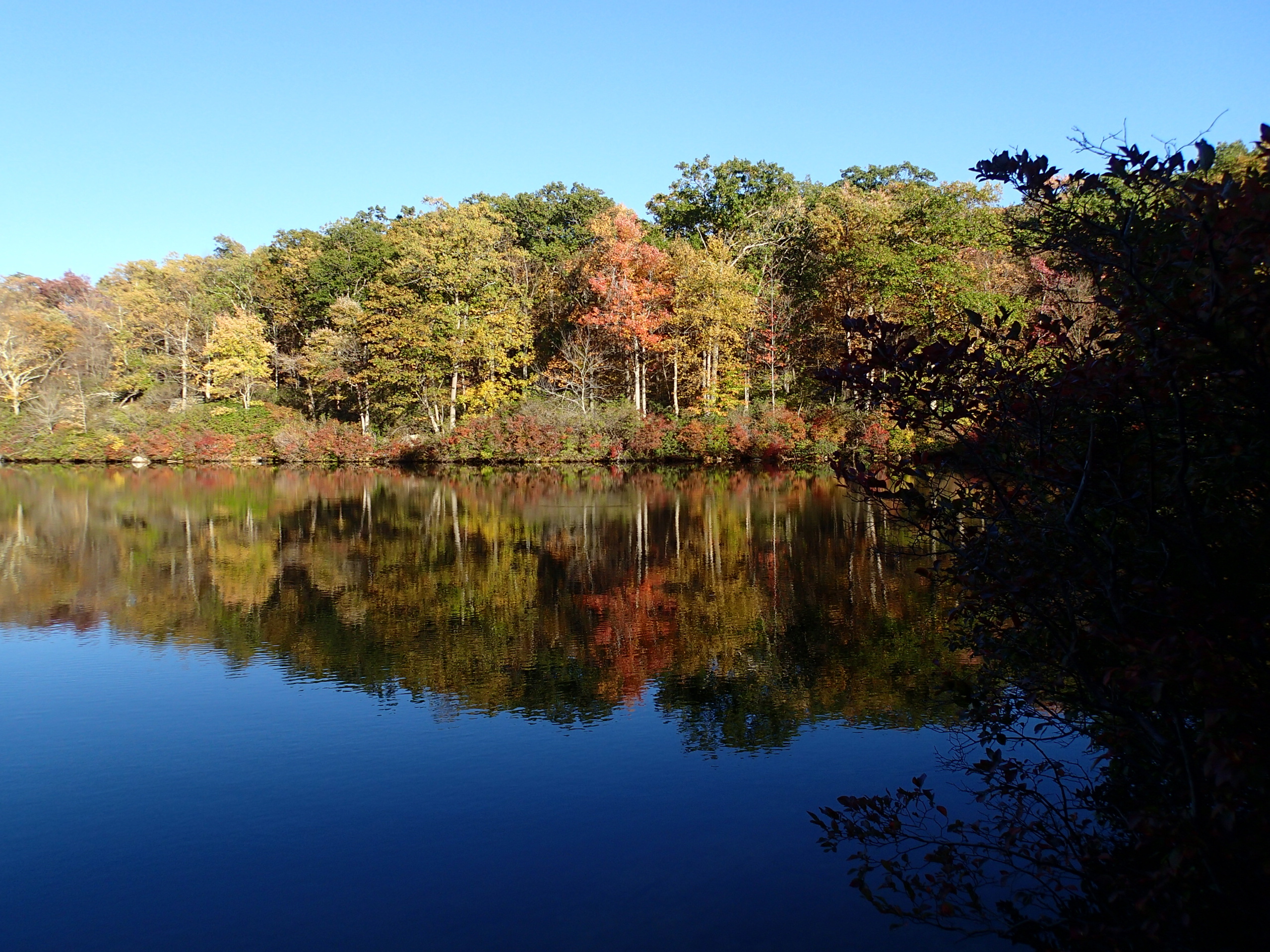 Beaver Pond via Appalachian Trail