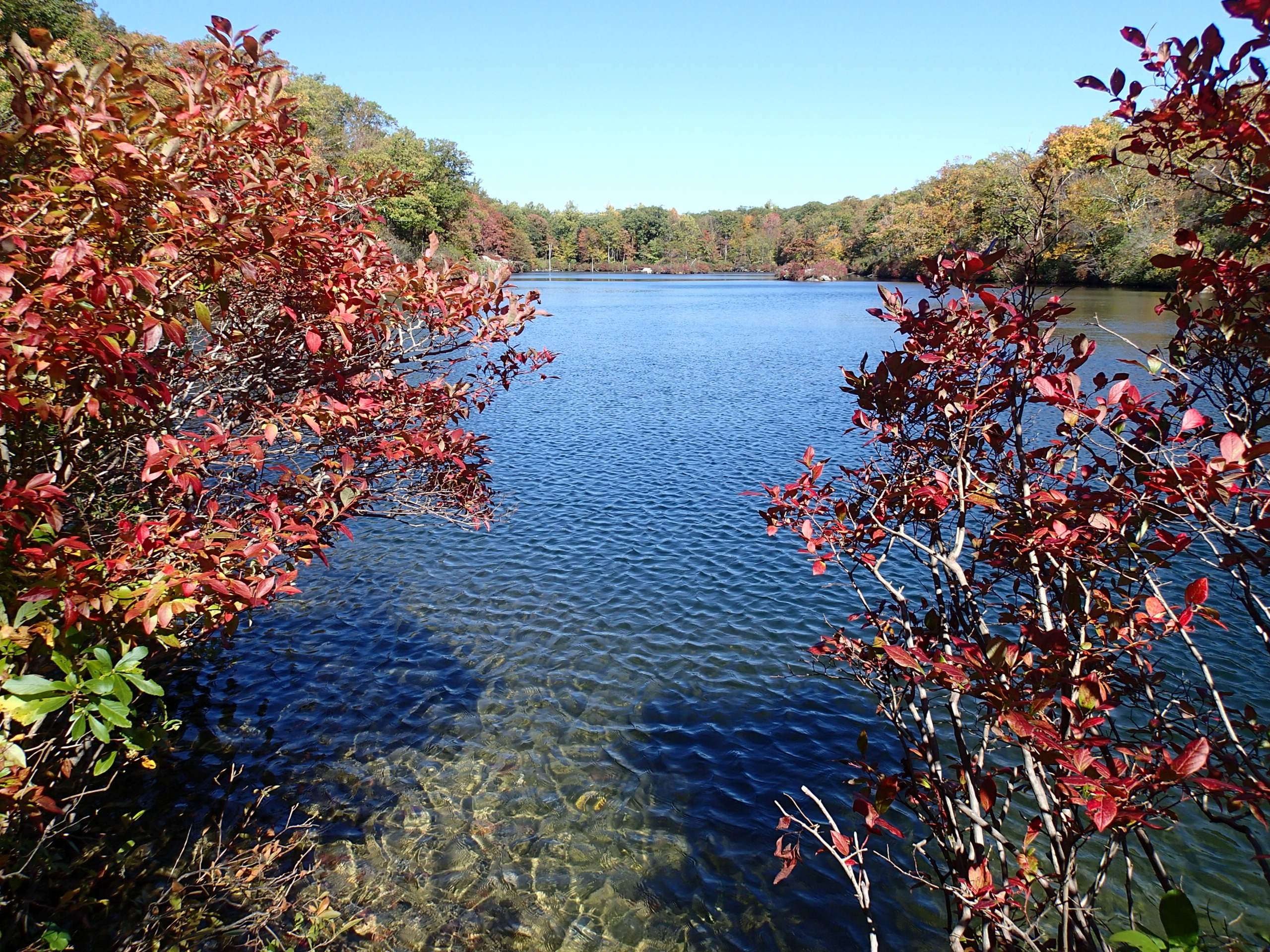 Beaver Pond via Appalachian Trail, Hopewell Junction, New York