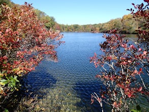 Beaver Pond via Appalachian Trail