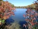 Beaver Pond via Appalachian Trail