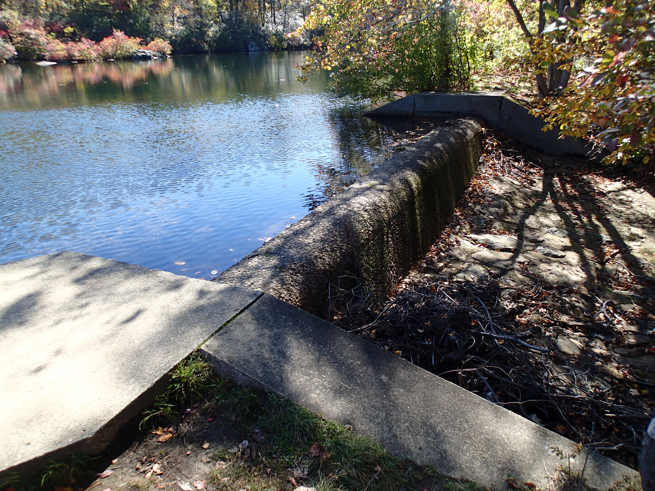 Beaver Pond via Appalachian Trail