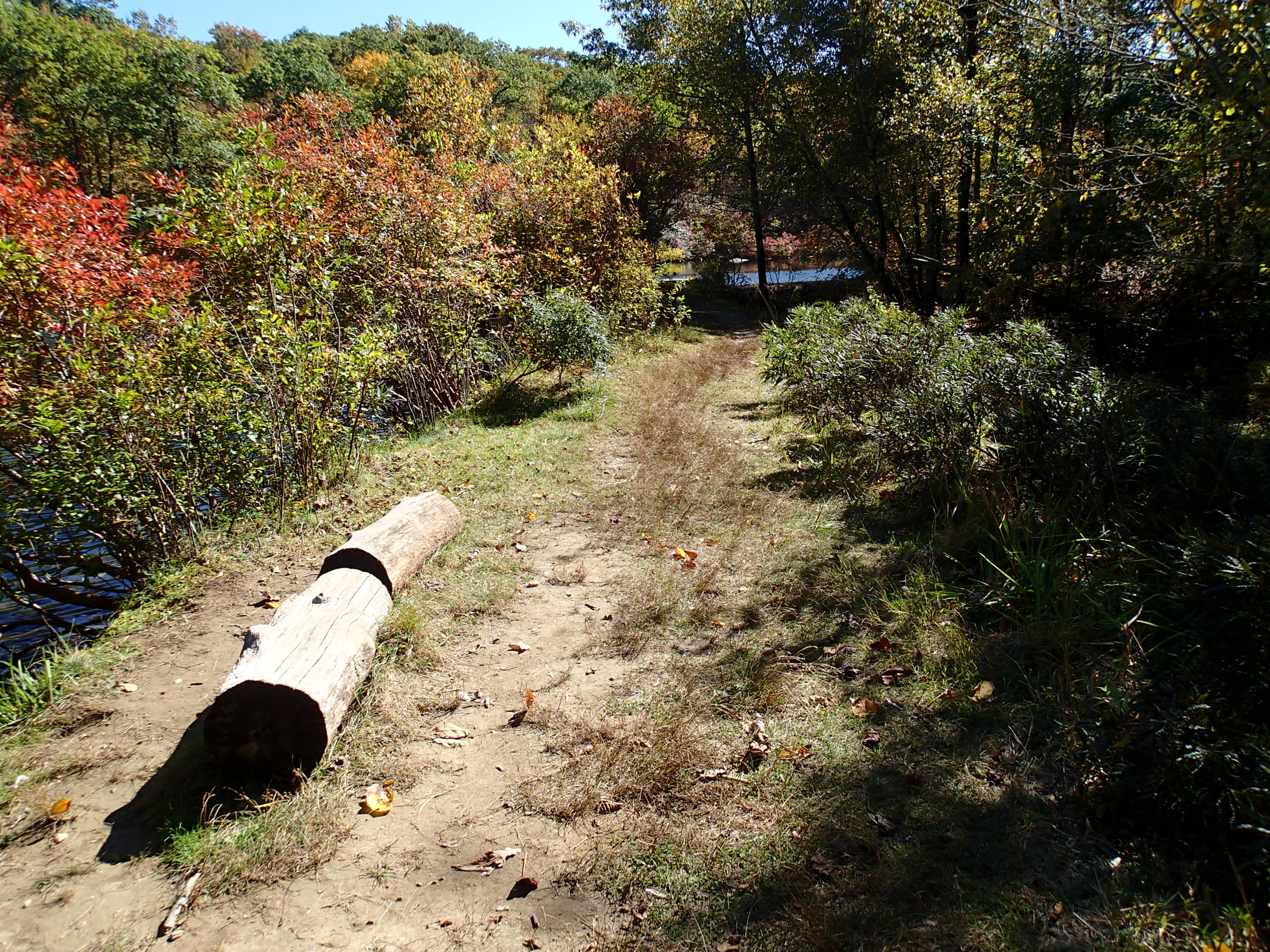 Beaver Pond via Appalachian Trail