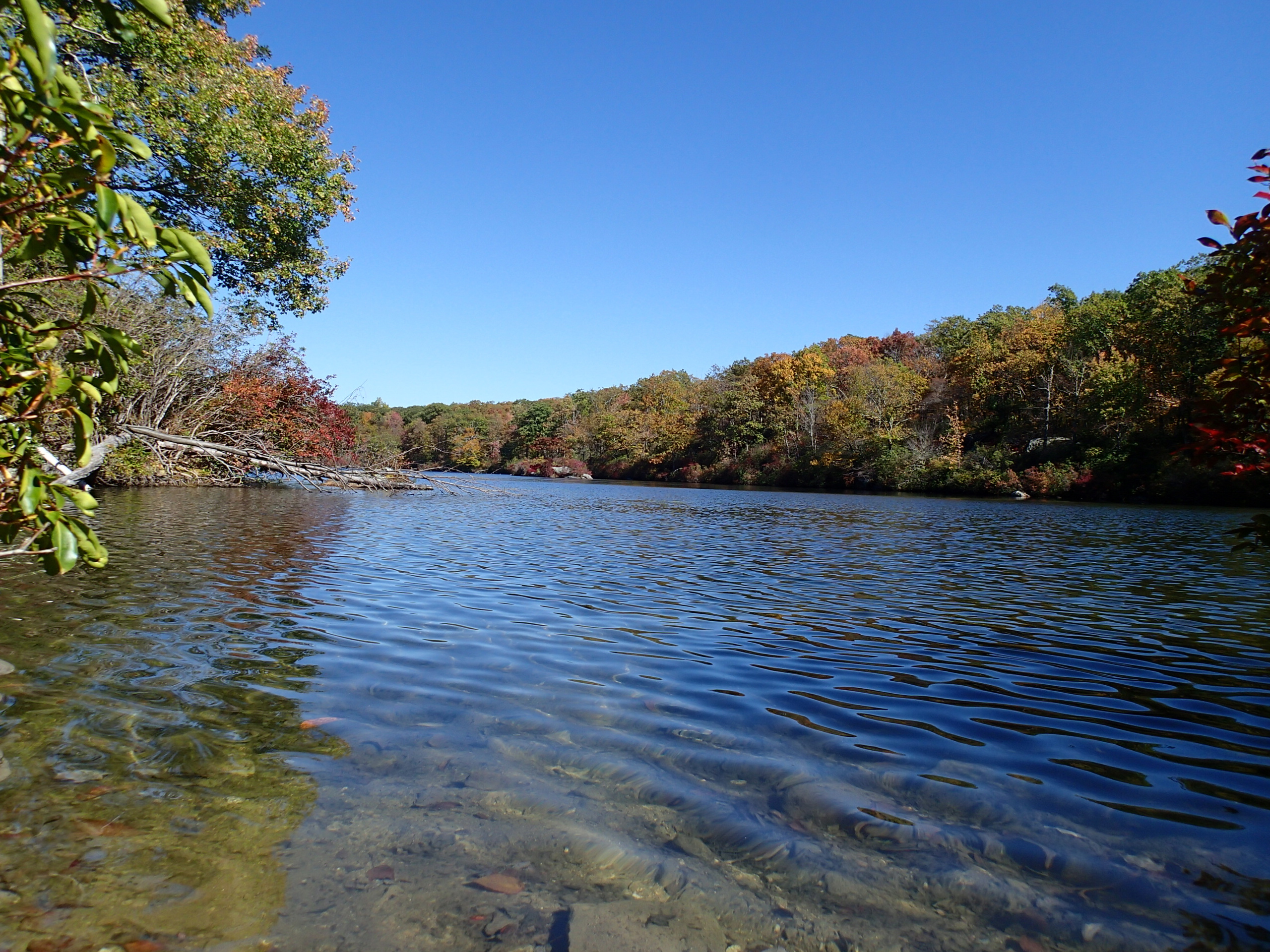 Beaver Pond via Appalachian Trail