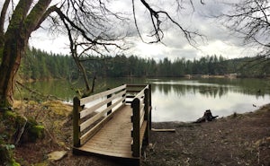 Run the Round Lake Loop at Lacamas Park