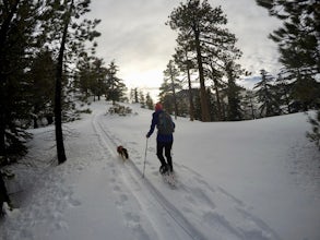 Snowshoe Buckhorn Ridge Trail