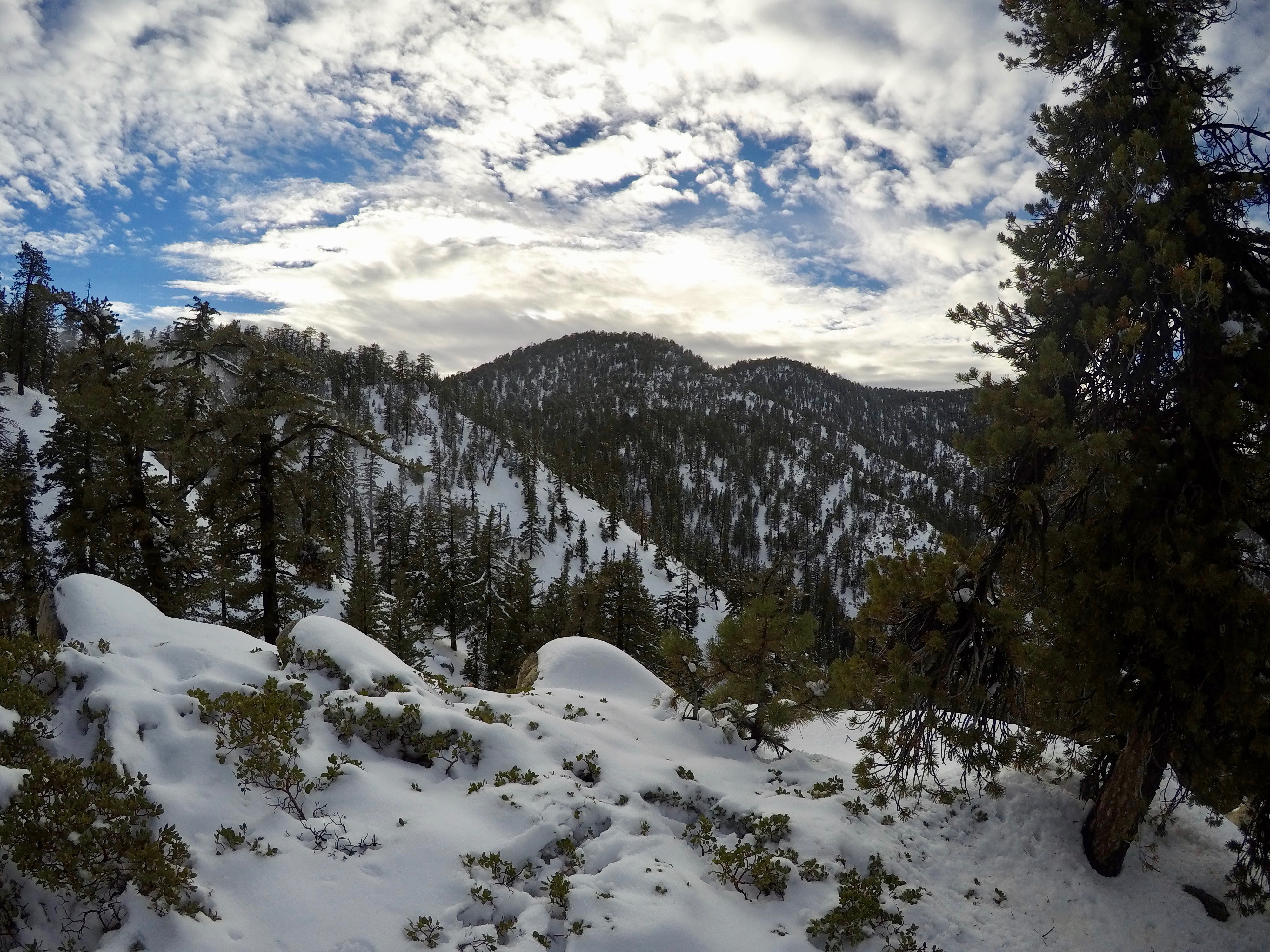 Snowshoe Buckhorn Ridge Trail