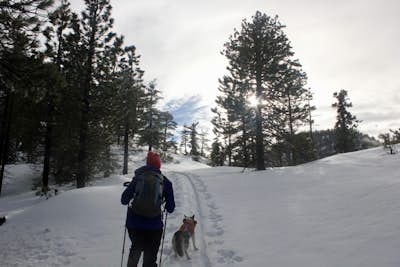 Snowshoe Buckhorn Ridge Trail
