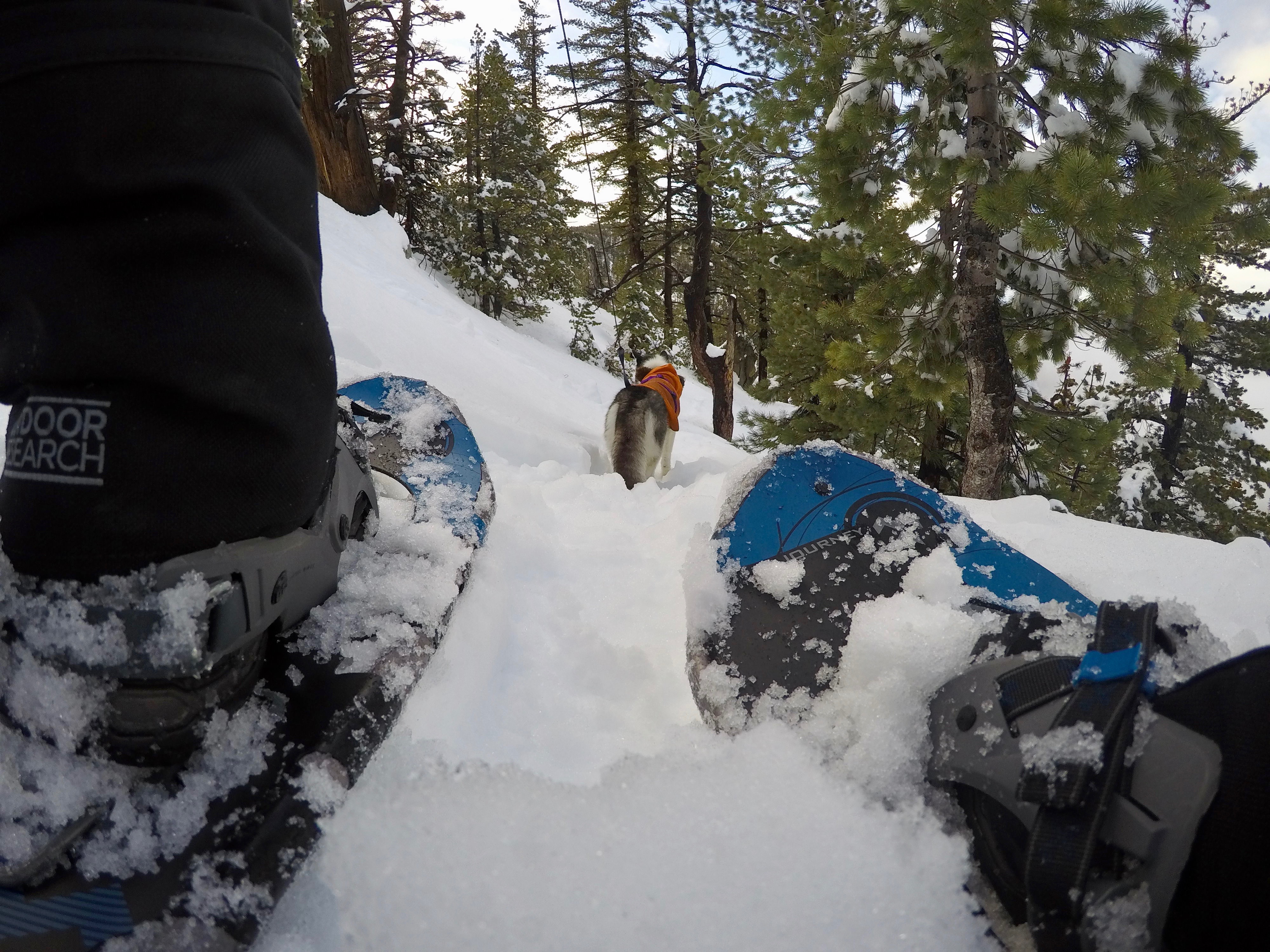 Snowshoe Buckhorn Ridge Trail