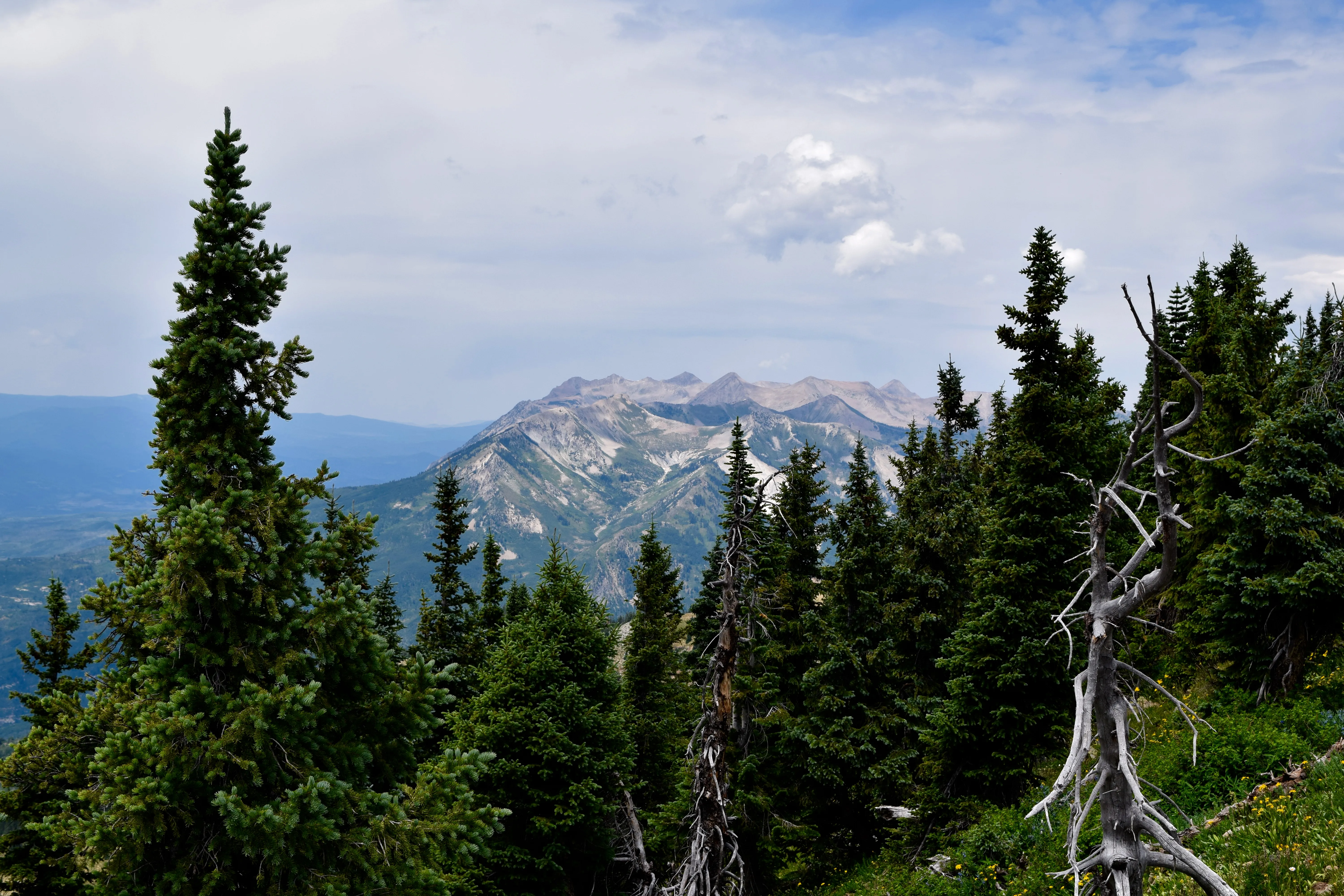 Hike Oh Be Joyful Pass