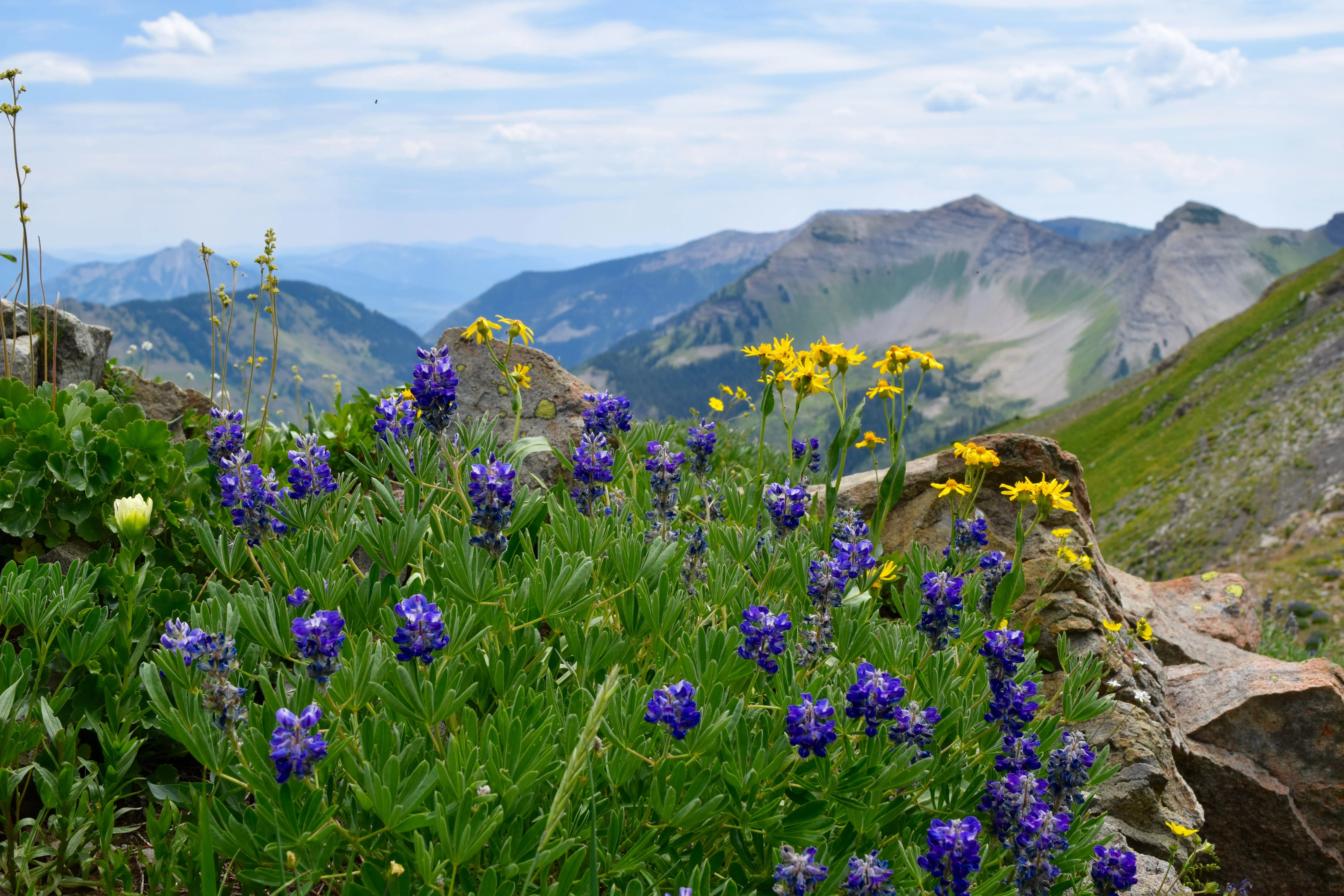 Hike Oh Be Joyful Pass