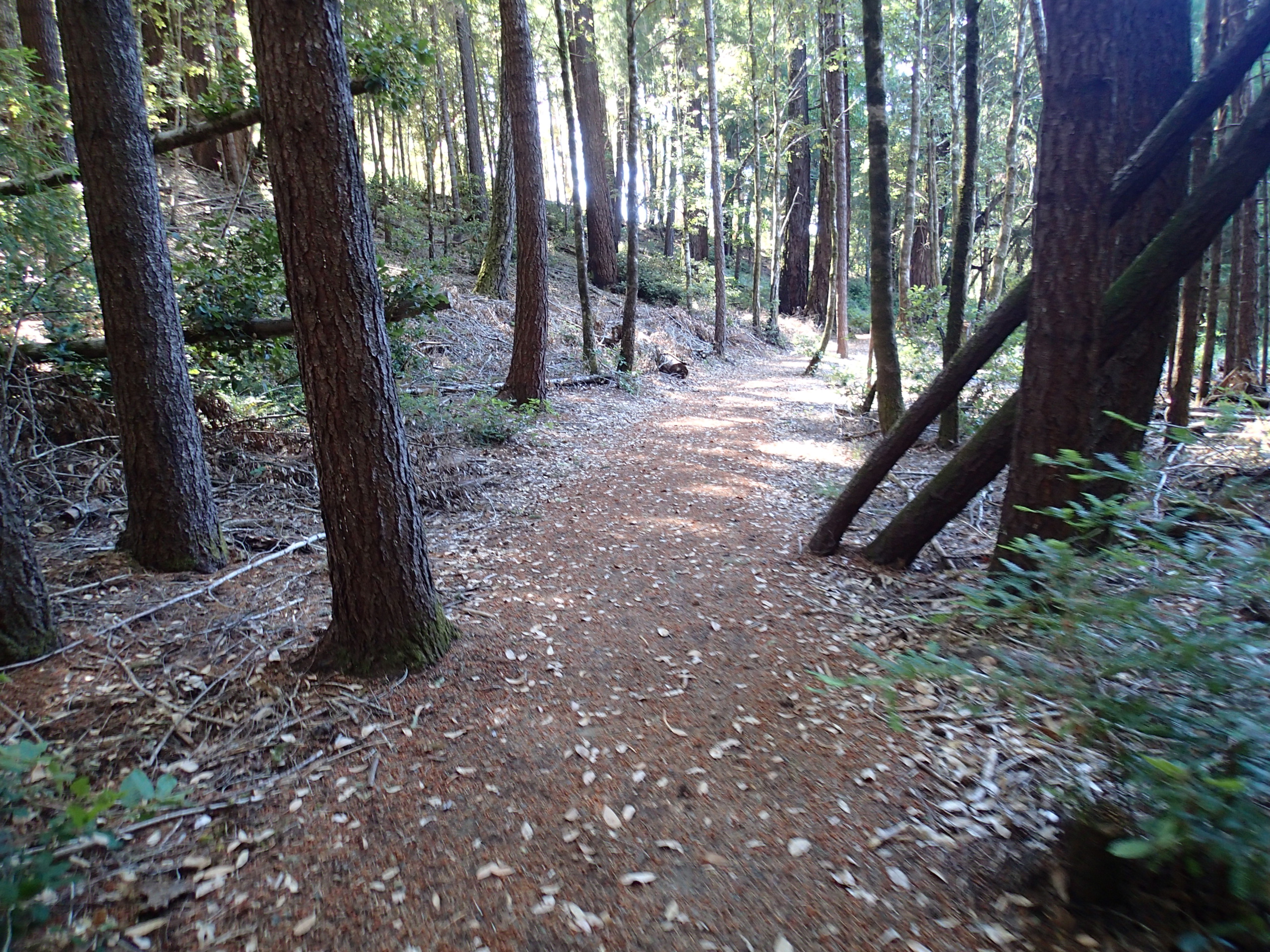 Taber Nature Trail