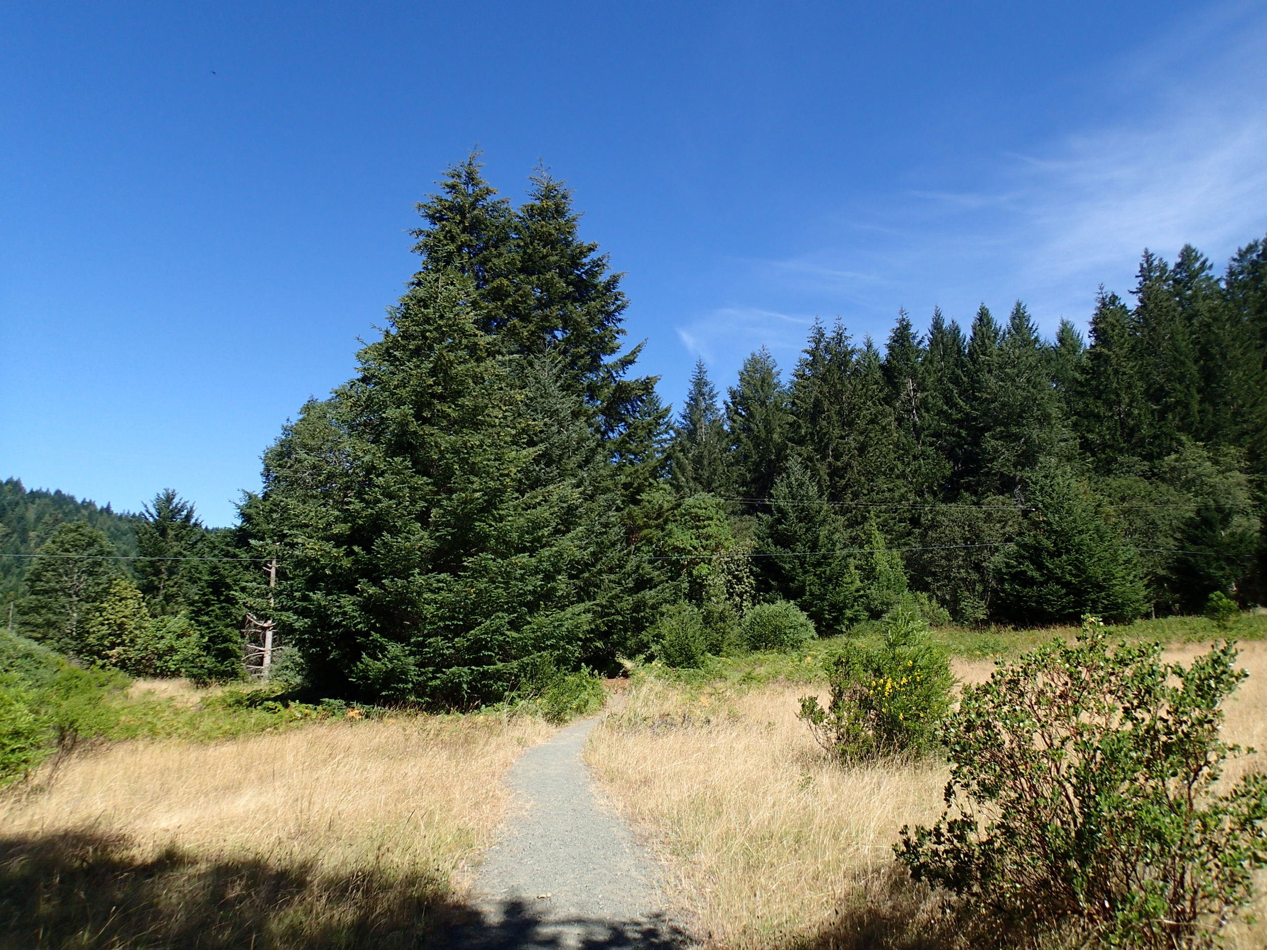 Taber Nature Trail