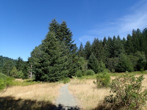 Taber Nature Trail