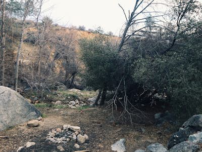 Dispersed Camp along Salmon Creek in Sequoia NF