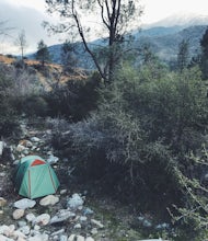 Dispersed Camp along Salmon Creek in Sequoia NF