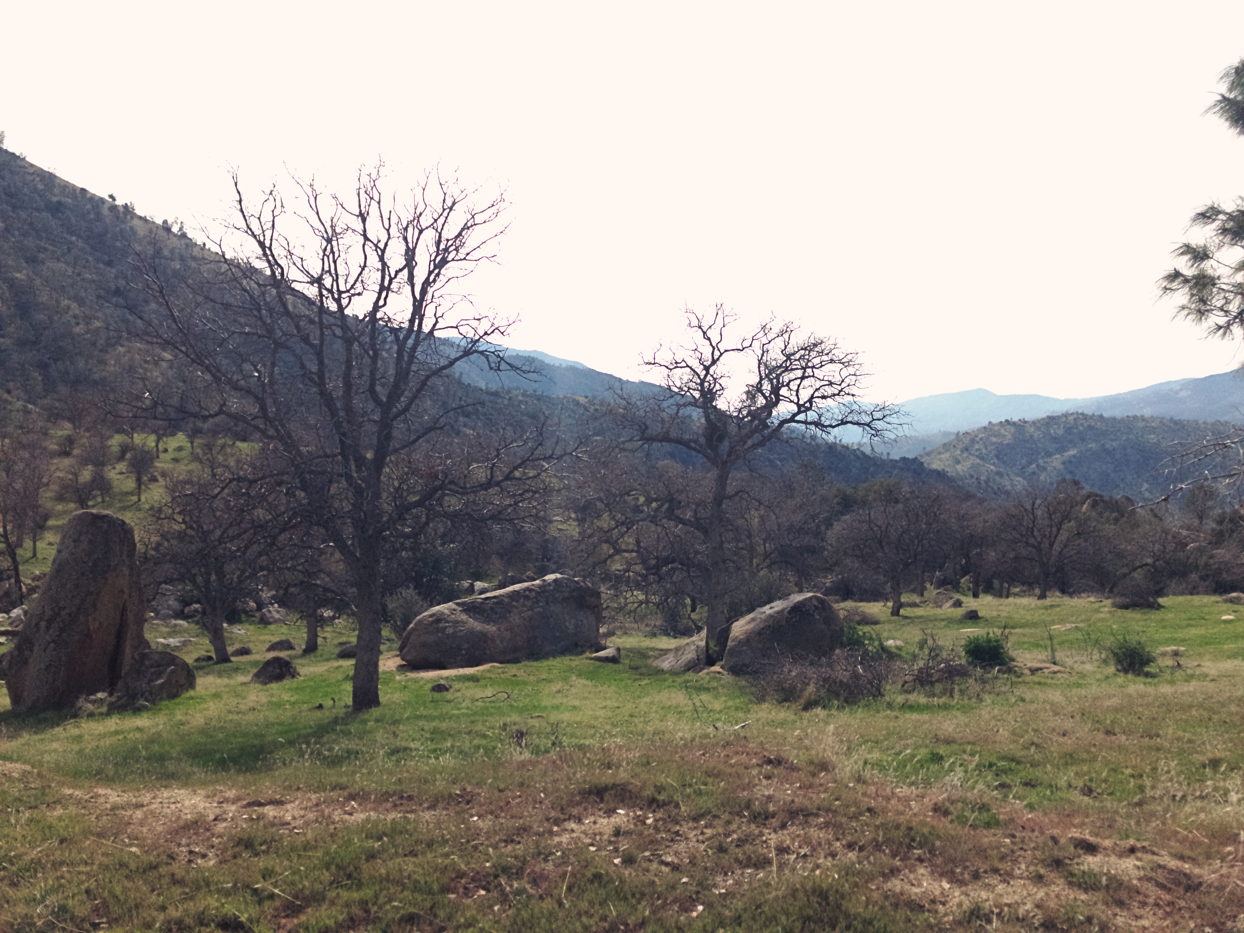 Remington Ridge Trail